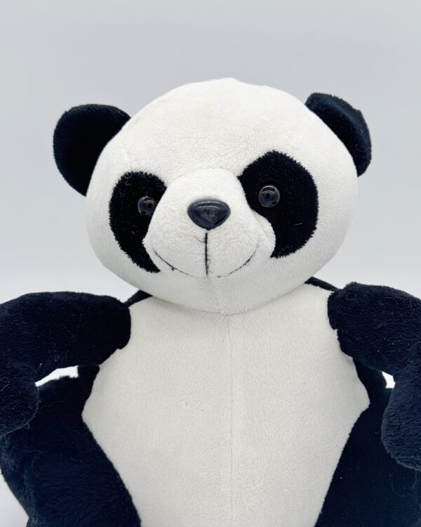 Barney de panda - Afbeelding 2